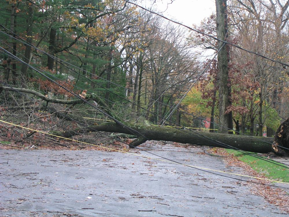 Disaster Operations 12